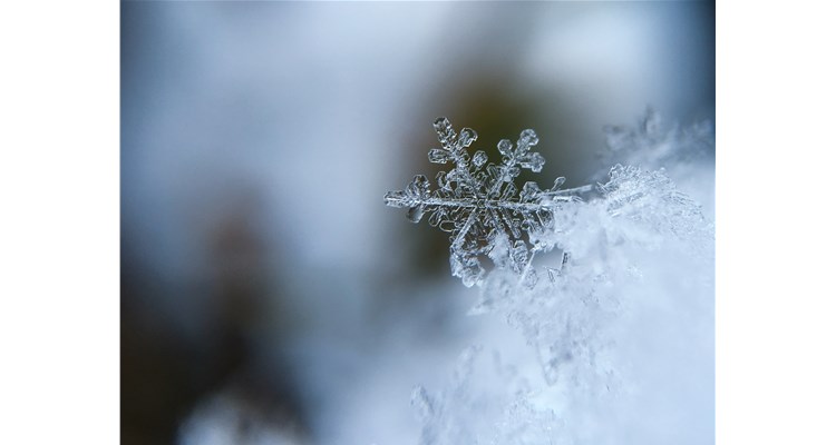 降溫了，這份健康指南，請轉(zhuǎn)給你關(guān)心的人！